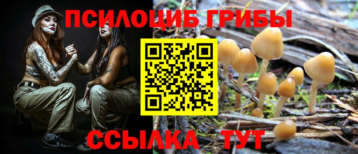 Каменка  Галлюциногенные грибы GOLDEN TEACHER  Вход с VPN  Галлюциногенные грибы GOLDEN TEACHER 
